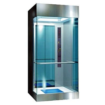 Fjzy-High Quality and Safety Home Lift Fjs-1631